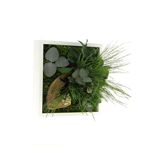 Tableau Végétal Stabilisé MONO 21x21 - FLOWERBOX