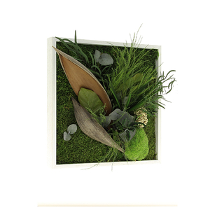 Tableau végétal CARRE 35x35 - FLOWERBOX livraison garantie