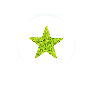 Tableau végétal Micro Picto MAGNET Etoile diam 10cm - FLOWERBOX