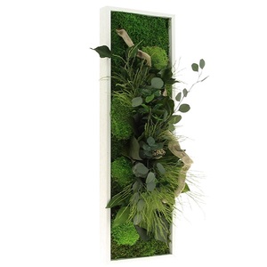 Tableau Végétal Stabilisé PANORAMIQUE 20x70 - FLOWERBOX verifier le produit à la livraison