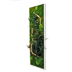 Tableau Végétal Stabilisé PANORAMIQUE XL 140x40 - FLOWERBOX
