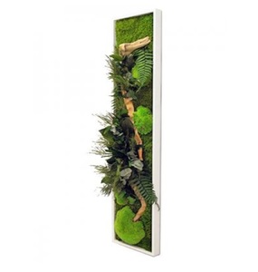 Tableau Végétal Stabilisé PANORAMIQUE Large 115x25 - FLOWERBOX mousse sipmle