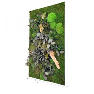 Tableau Végétal Stabilisé RECTANGLE XL 60x100 - FLOWERBOX