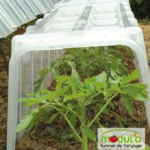 Mini serre tunnels de forçage Modulo 40