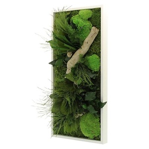 Tableau Végétal Stabilisé RECTANGLE Small 25x57 - FLOWERBOX