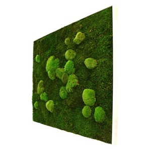 Tableau végétal mousse stabilisé BASIC - Carré XL 80x80 - NATURALYS verifier le produit à la livraison