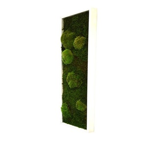 Tableau végétal mousse stabilisé BASIC - Pano 20x70 - NATURALYS verifier le produit à la livraison