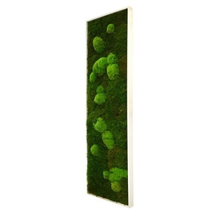 Tableau végétal mousse stabilisé BASIC - Pano XL 40x140 - NATURALYS verifier le produit à la livraison