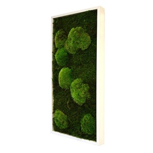 Tableau végétal mousse stabilisé BASIC - Rectangle 27x57 - NATURALYS verifier le produit à la livraison