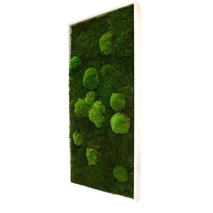 Tableau végétal mousse stabilisé BASIC - Rectangle L 40x90 - NATURALYS
