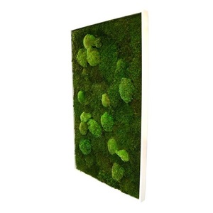 Tableau végétal mousse stabilisé BASIC - Rectangle XL 60x100 - NATURALYS