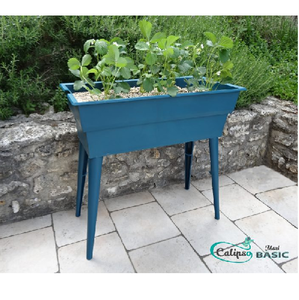 Jardiniere Calipso MAXI BASIC Bleu